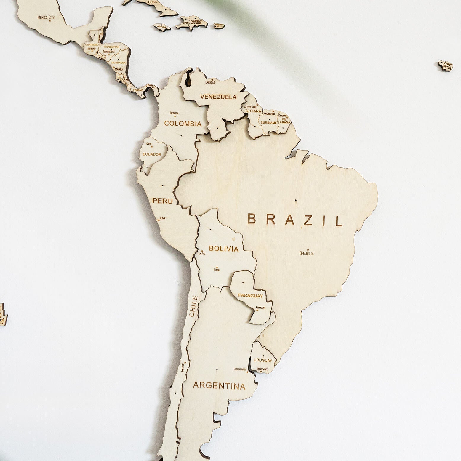 3D World Map - Natural