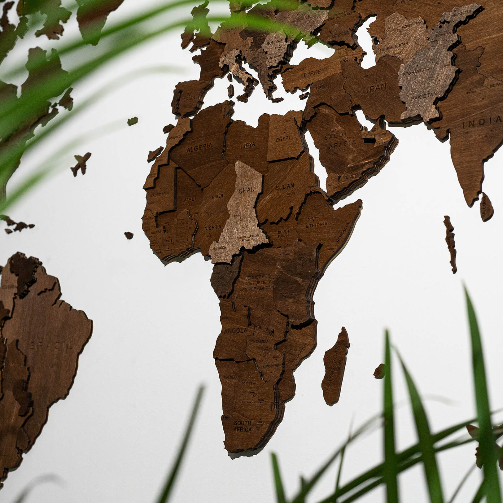 3D World Map - Walnut