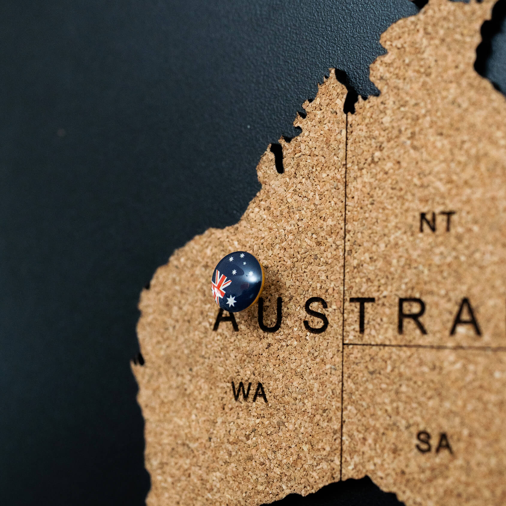 Cork World Map Panel