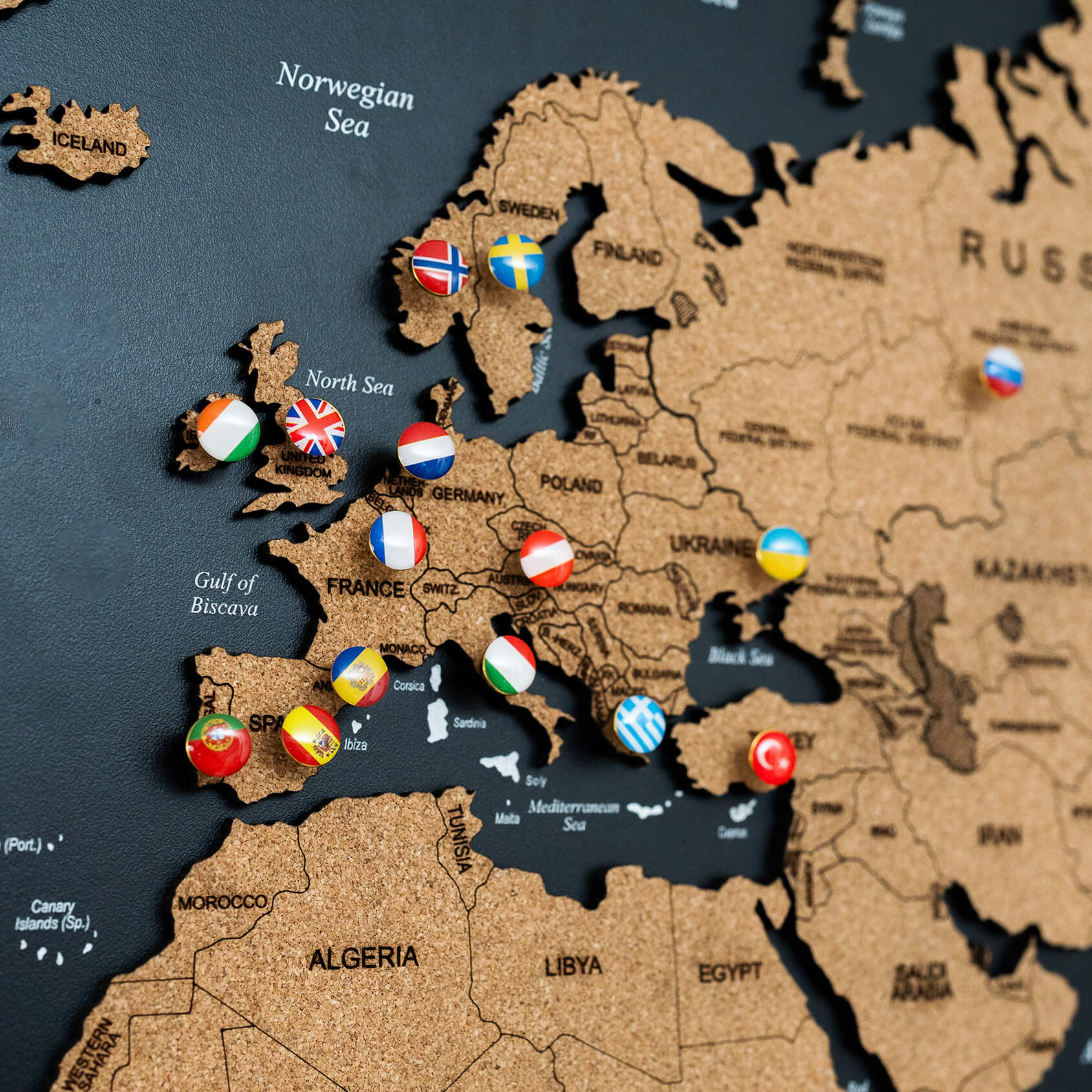 Cork World Map Panel