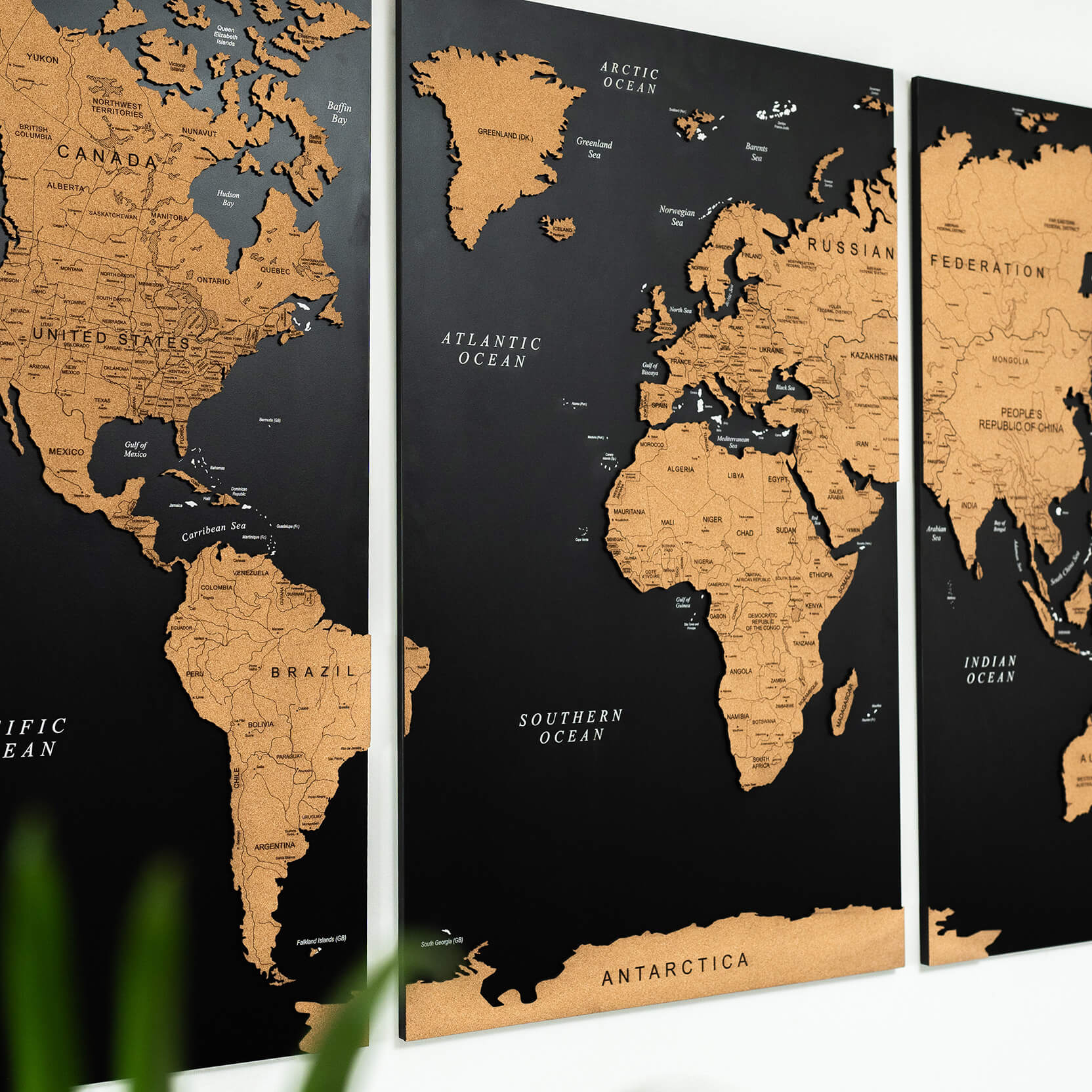 3 Panel World Map