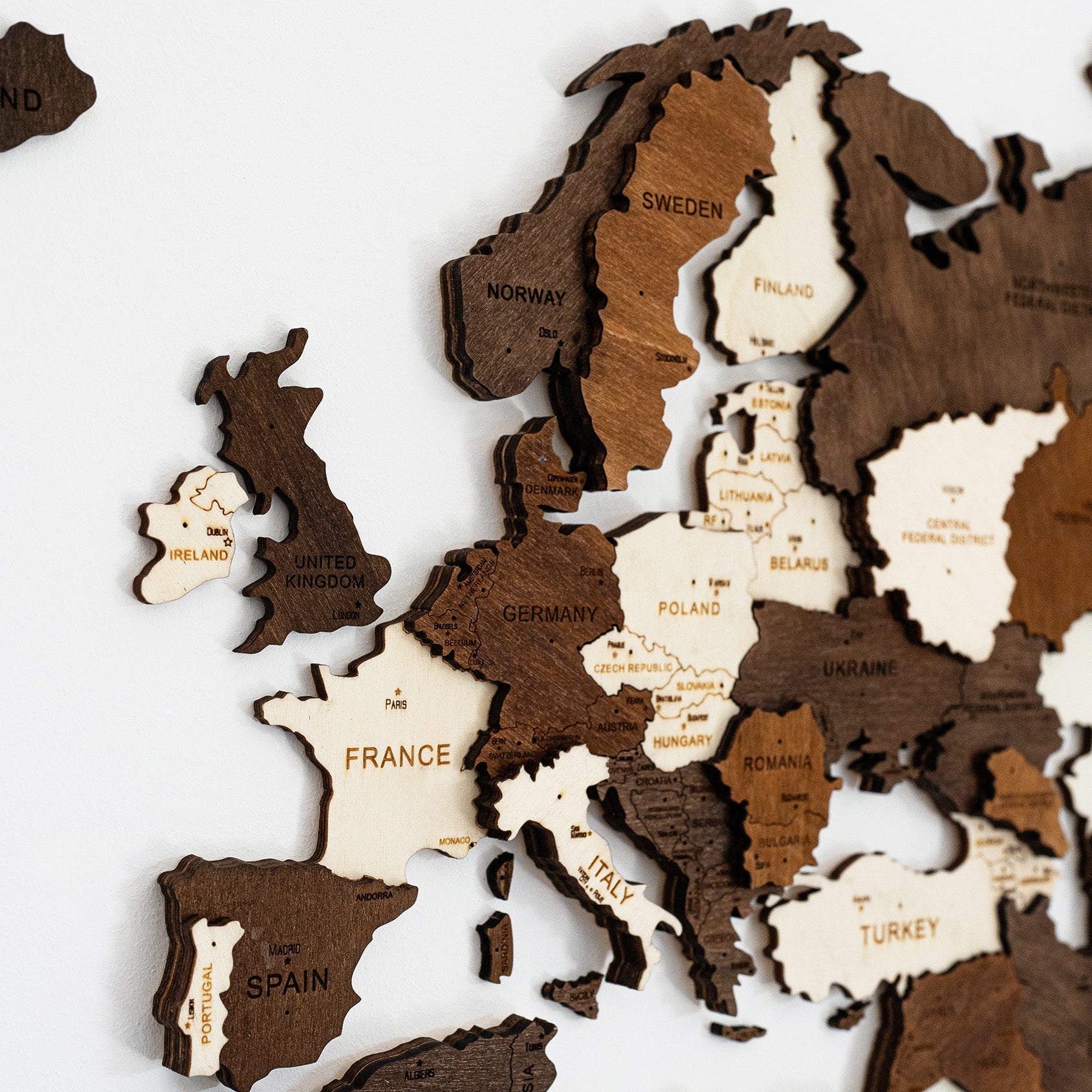 3D World Map - Multicolour