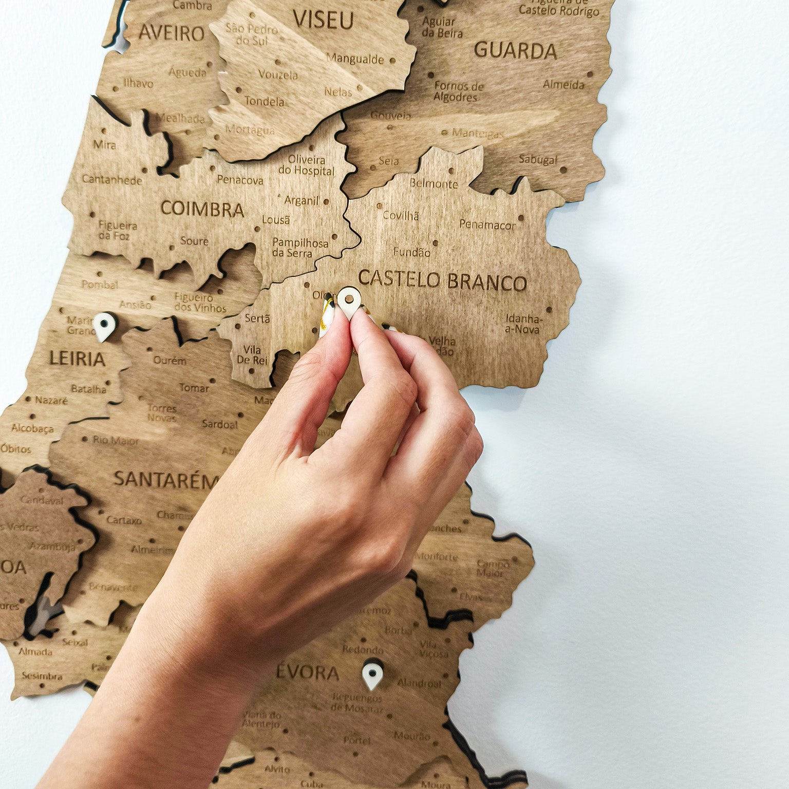 Wooden Travel Pins — 150 pcs