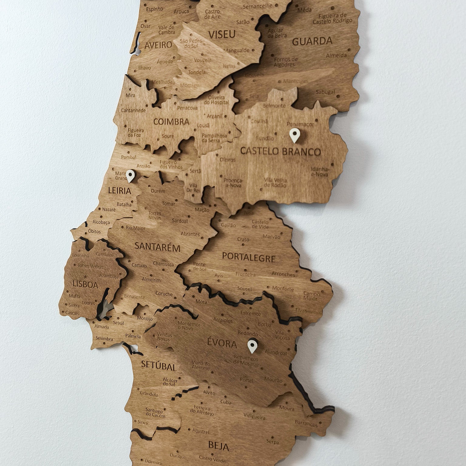 Wooden Travel Pins — 150 pcs