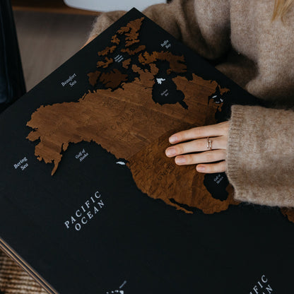 Triptych World Map